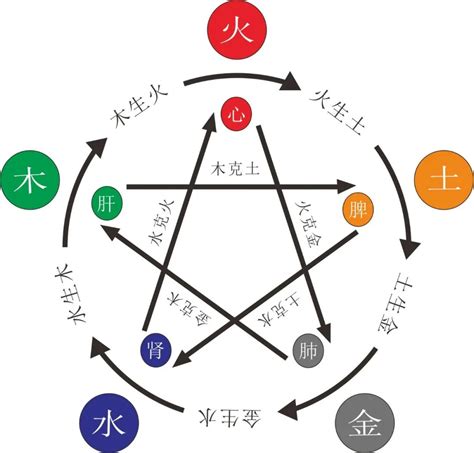 住宅 金木相剋|【金、木、水、火、土】揭開五行奧秘：深入淺出解析金、木、水。